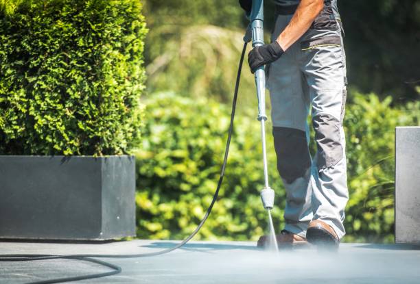 Best Driveway Pressure Washing  in Bloomfield, MO